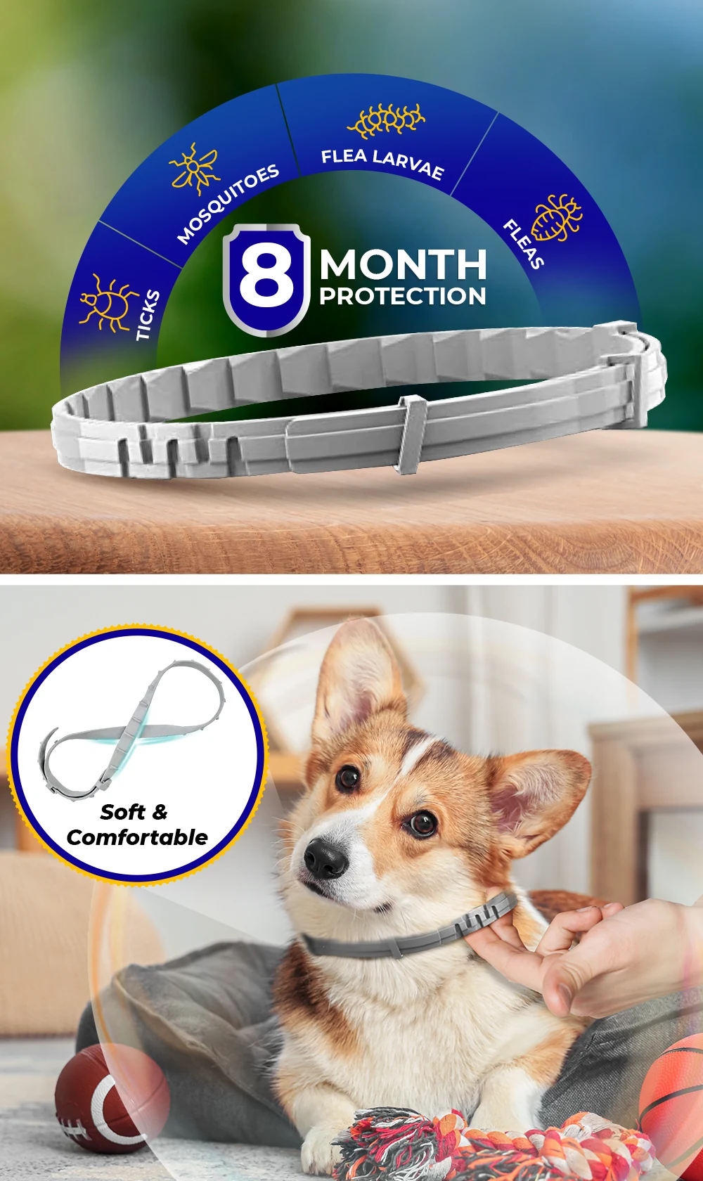 BiteShield collar with icons for ticks, mosquitoes, flea larvae and fleas, stating 8 month protection, and a Corgi wearing the collar